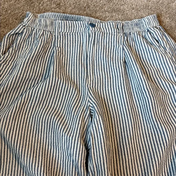 Aerie Blue and White Striped Chinos - Picture 3 of 5